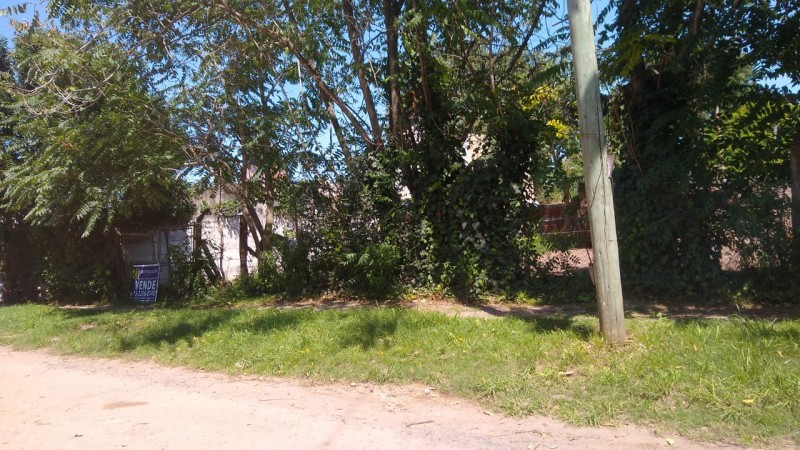 LOTE  340 M2.