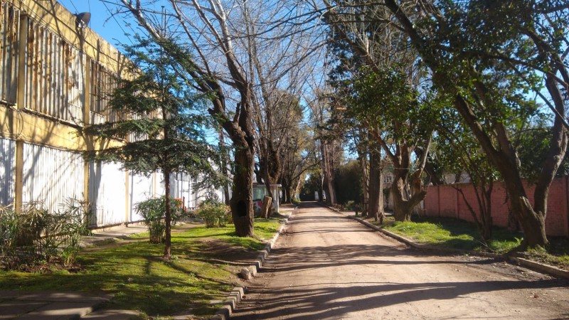  DEPARTAMENTO 2 AMB. 