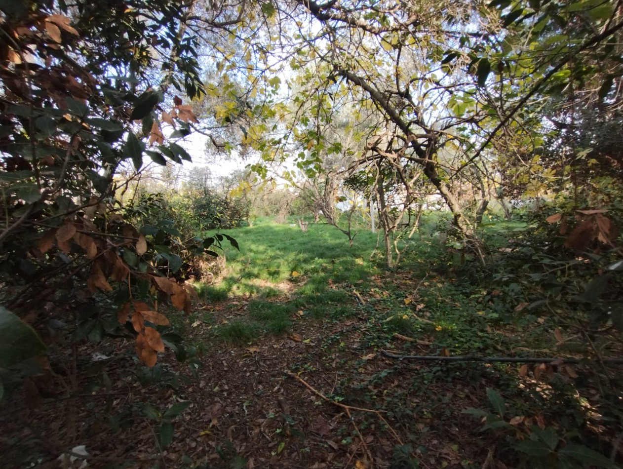 LOTE  2.000 M2.  (A  METROS  RUTA NAC. 197) ING. P. NOGUES 