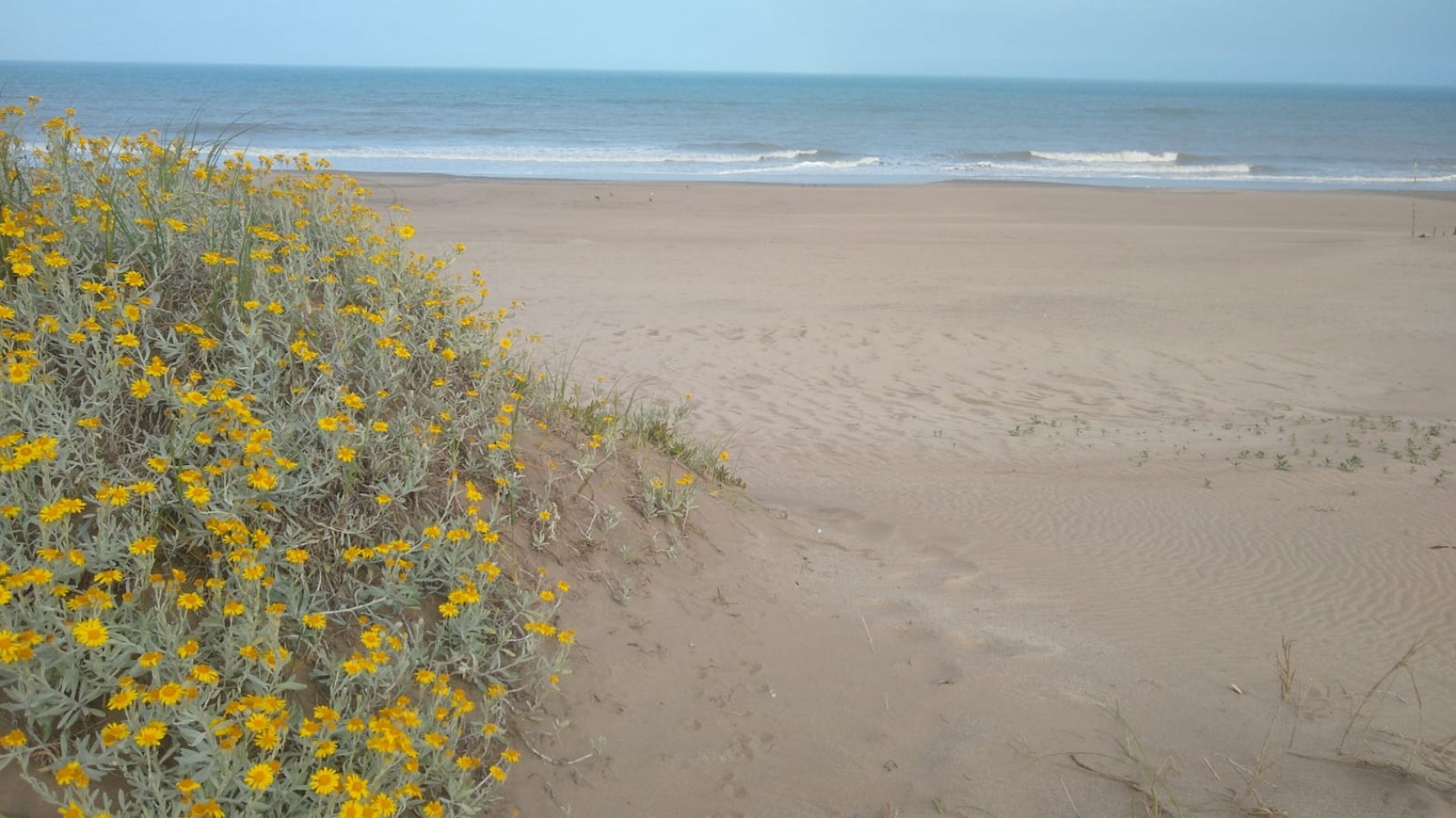 VILLA GESELL     DEPARTAMENTO 3 AMB. A METROS DE PLAYA