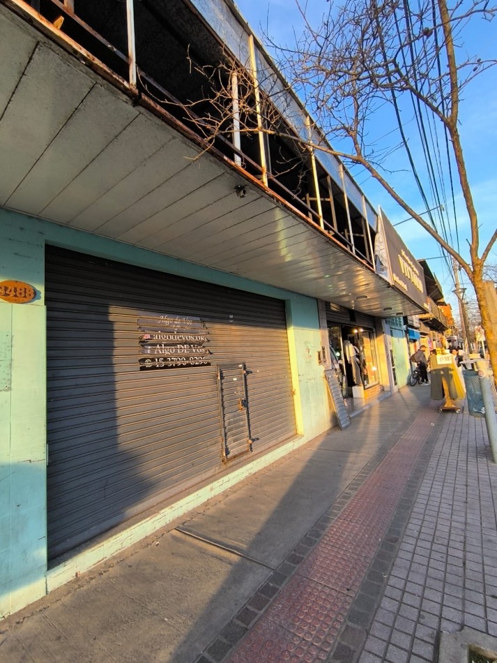 LOCAL 40M2