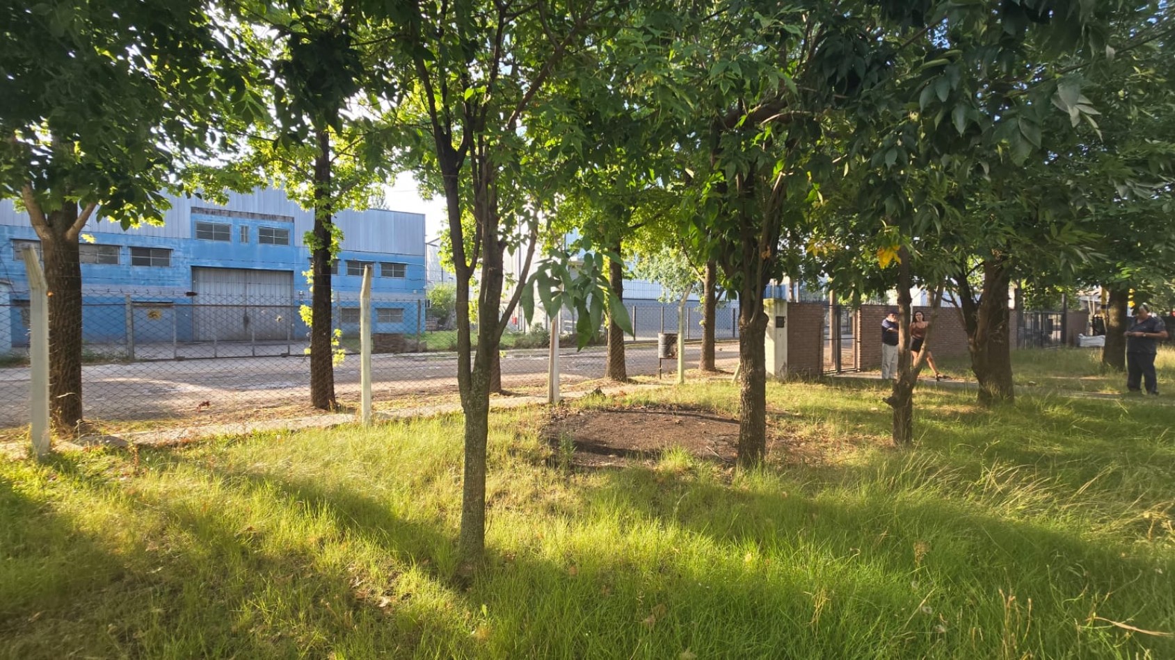 GALPON 2500 M2 
