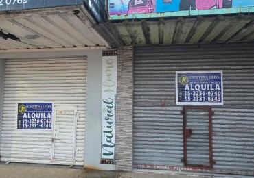 LOCAL 28 M2 